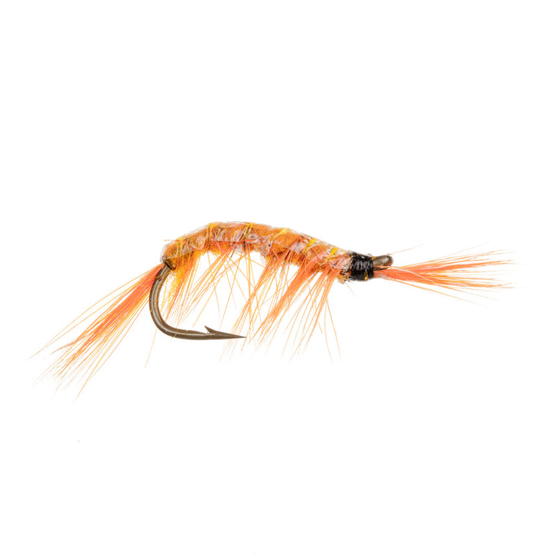 NORDIC TROUT FLY ORNAGE GAMMARUS