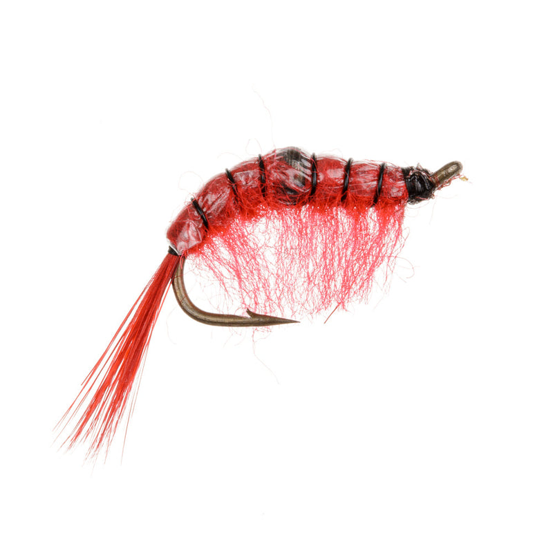 NORDIC TROUT FLY RED BELLY SHRIMP