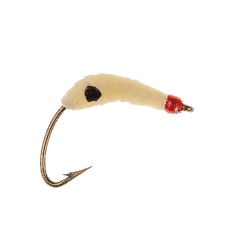 NORDIC TROUT FLY MAGGOT