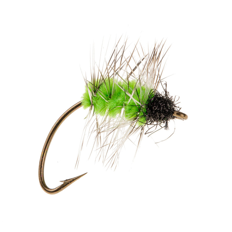 NORDIC TROUT FLY GREEN CATEPILLER