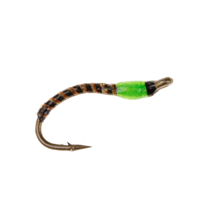 NORDIC TROUT FLY GREEN SEDGE BUZZER