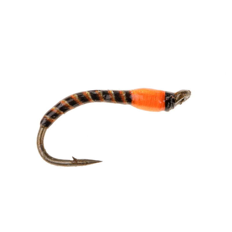 NORDIC TROUT FLY ORANGE SEDGE BUZZER