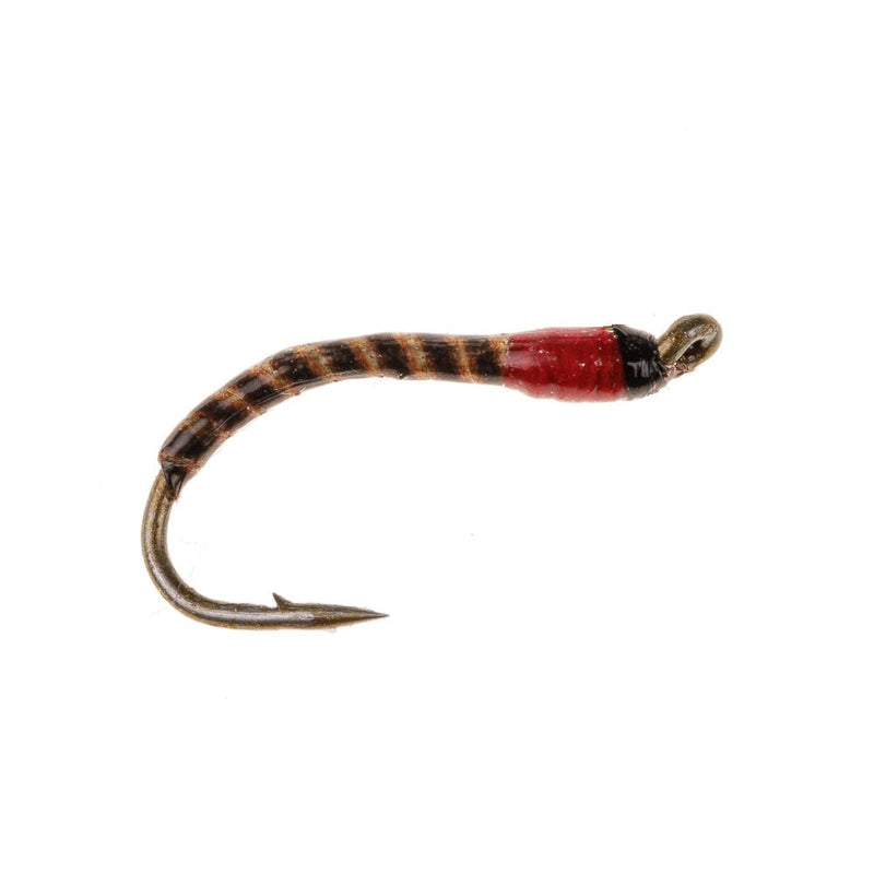 NORDIC TROUT FLY RED SEDGE BUZZER