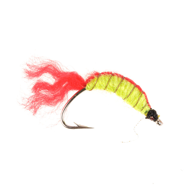 NORDIC TROUT FLY MAGGOT SHRIMP RED