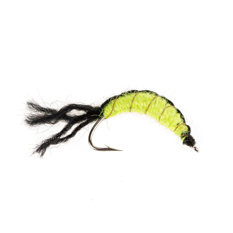 NORDIC TROUT FLY MAGGOT SHRIMP BLACK