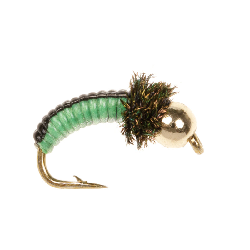 JUICY GRUB FLY BLACK/LIME BEAD HEAD