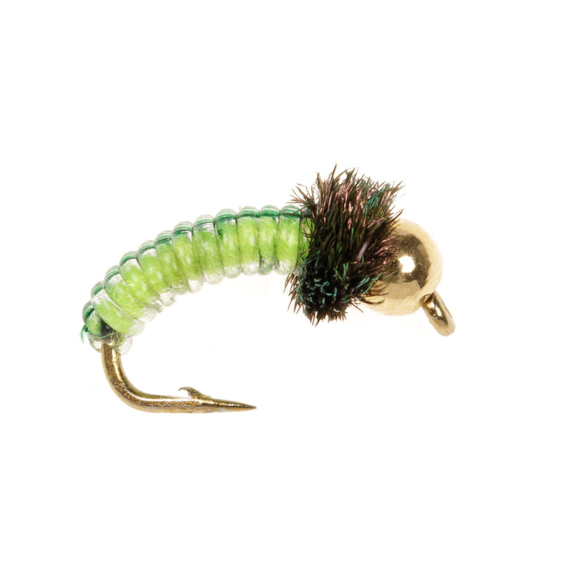 JUICY GRUB FLY LIME/LEMON BEAD HEAD
