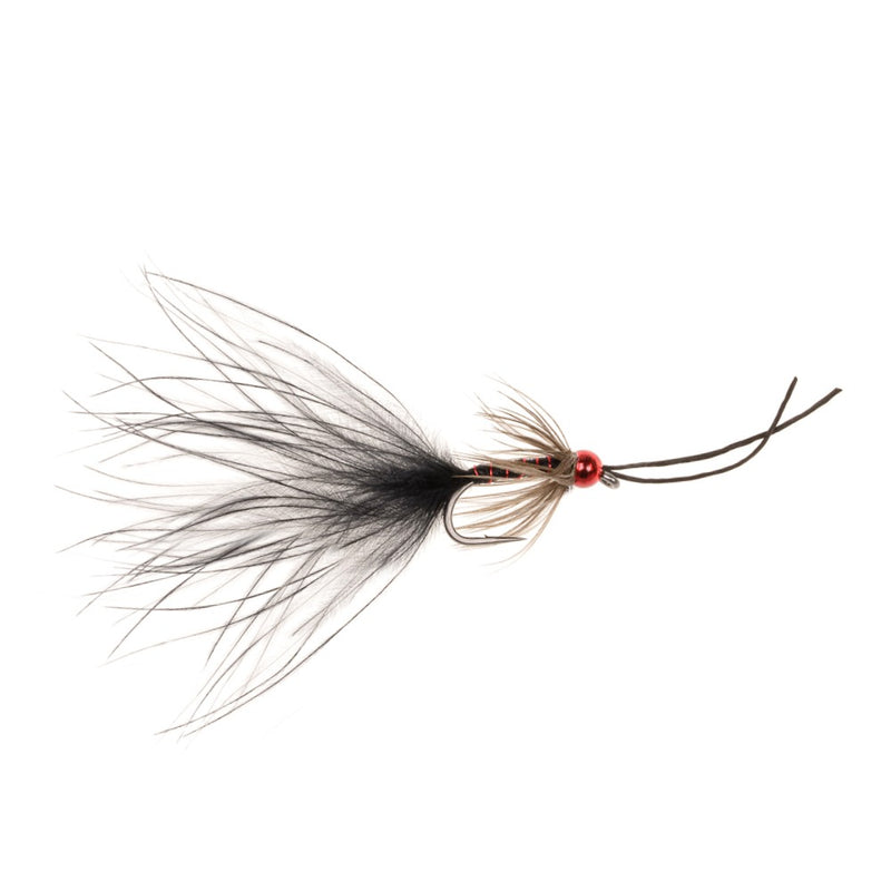 KICKING DAMSEL FLY BLACK