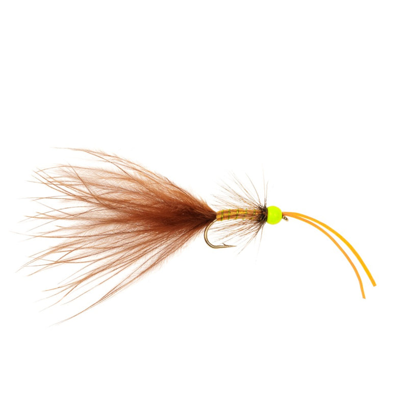 KICKING DAMSEL FLY FIERY BROWN