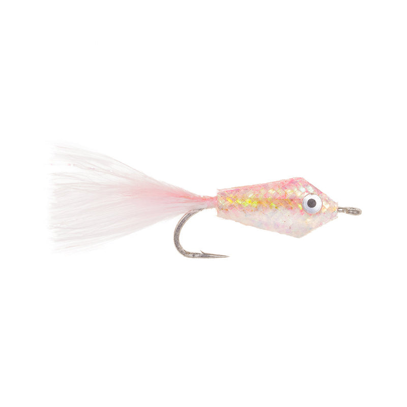 LITTLE GEM FLY CORAL