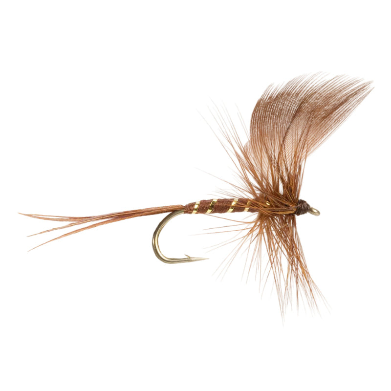 MAYFLY BROWN DRAKE