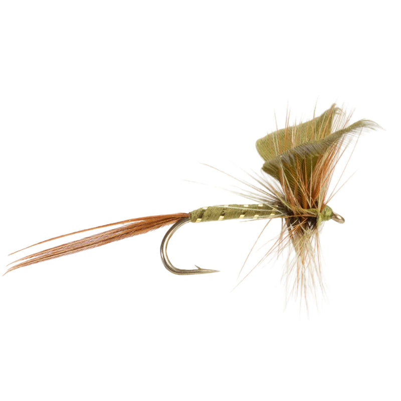 MAYFLY GREEN DRAKE