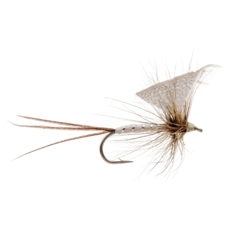 MAYFLY WHITE DRAKE