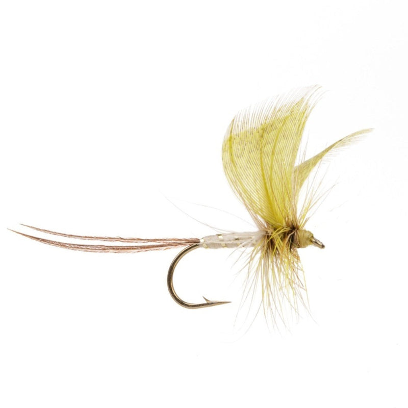 MAYFLY YELLOW DRAKE