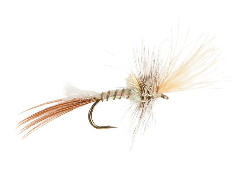 MAYFLY WHITE DRAKE CRIPPLE