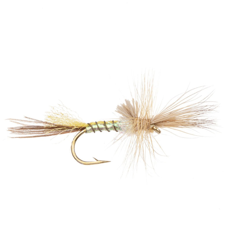 MAYFLY YELLOW DRAKE CRIPPLE