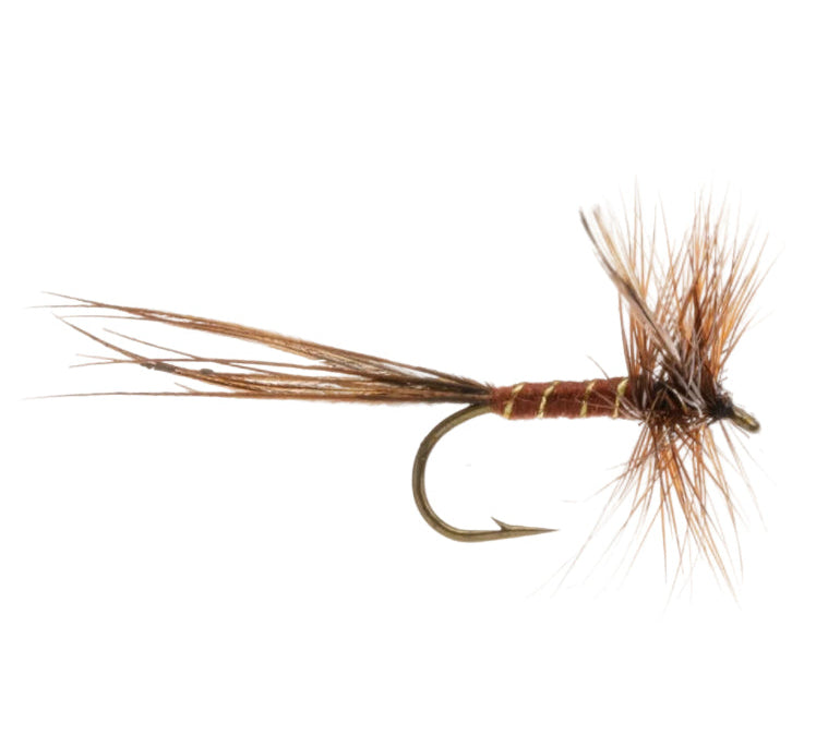 MAYFLY SPENT BROWN MAYFLY