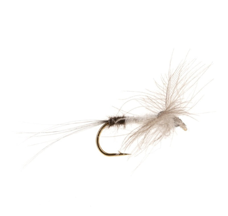 MAYFLY CDC MAYFLY SPENT