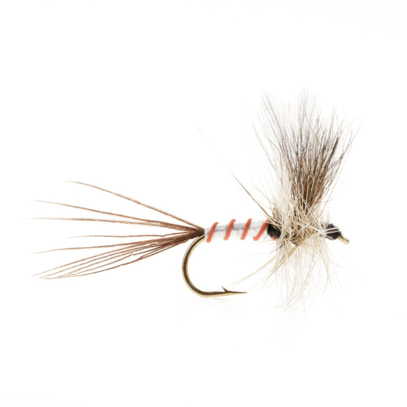MAYFLY FROZEN MAYFLY