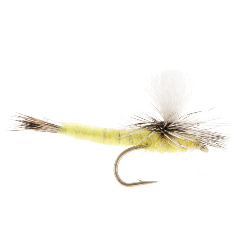 MAYFLY SAY AHH YELLOW