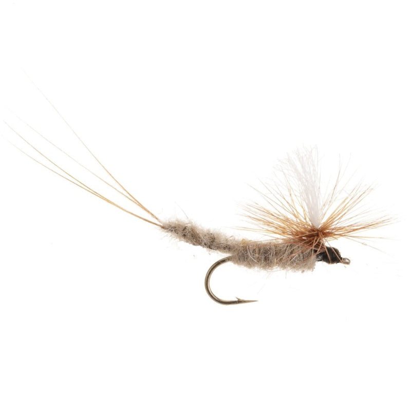 MAYFLY VULGATA
