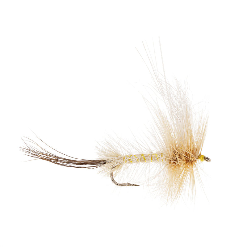 MAYFLY HEXAGENIA DRAKE DRY