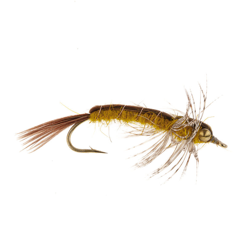 MAYFLY HEXAGENIA NYMPH