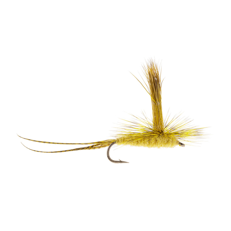 MAYFLY HEXAGENIA EMERGER