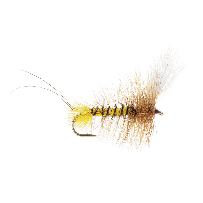 MAYFLY HEXAGENIA DRAKE WULFF