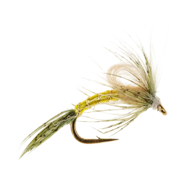 MAYFLY EMERGER CDC MAYFLY