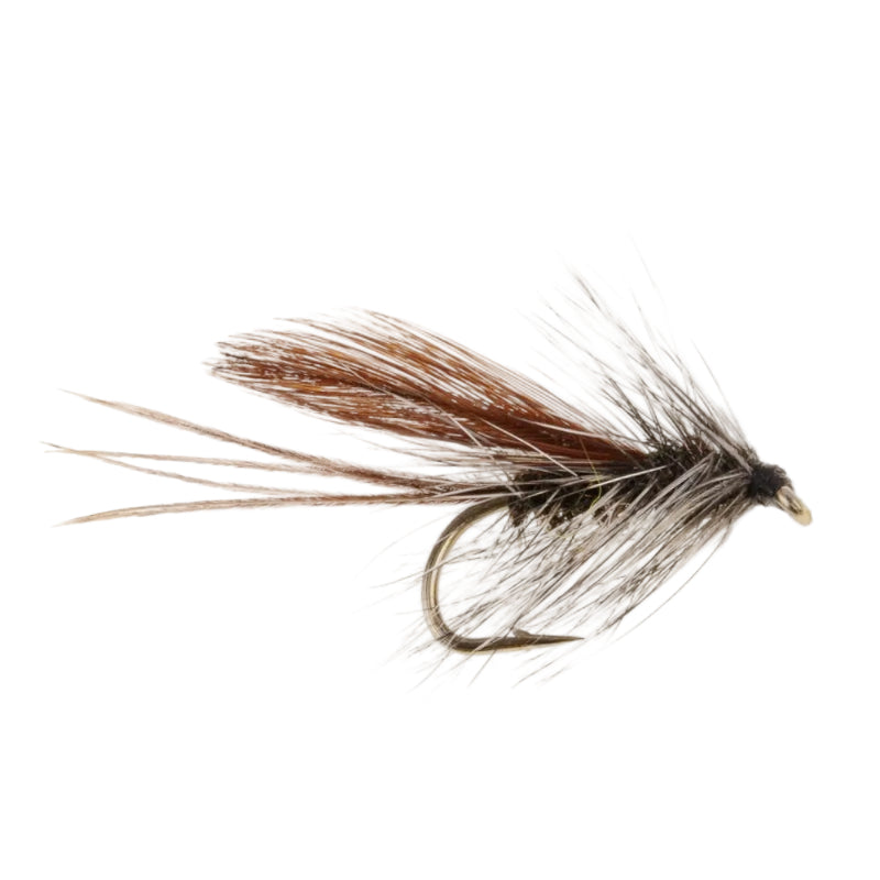 MAYFLY SHADOW MAYFLY