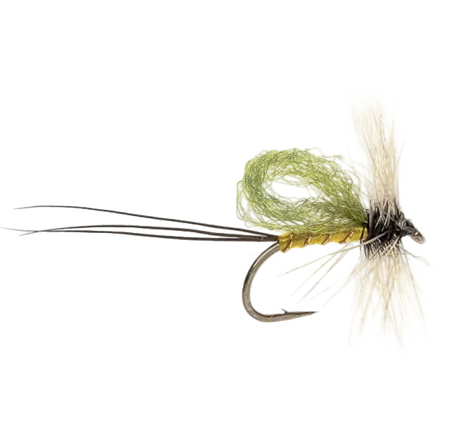MAYFLY LOOP WING OLIVE MAYFLY