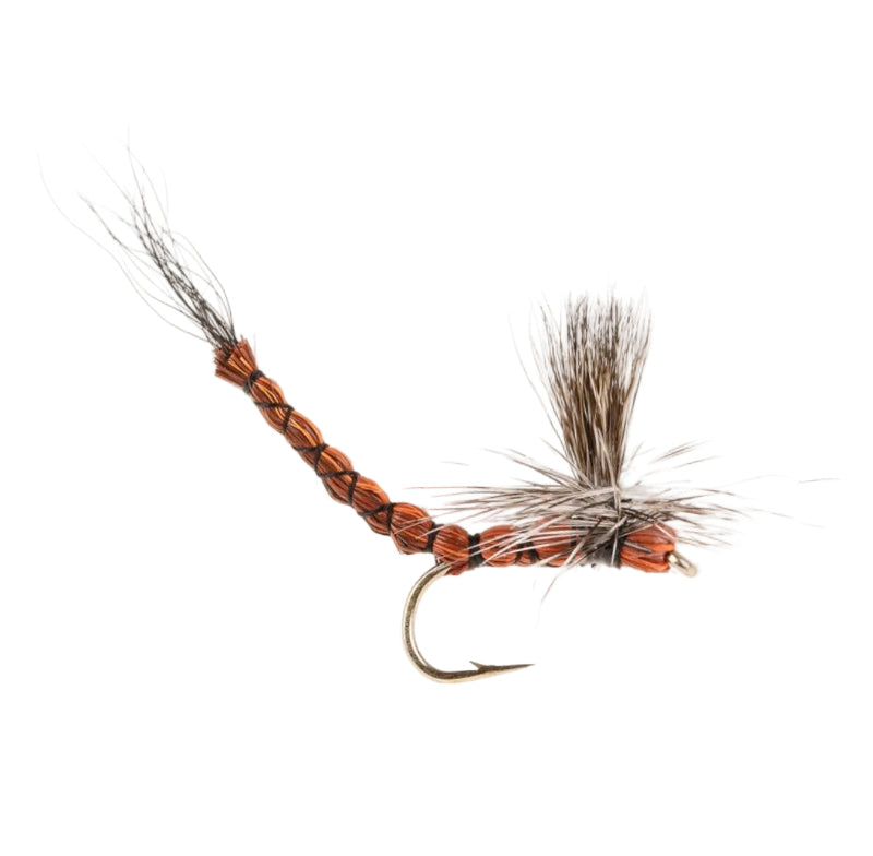 MAYFLY BROWN PARA DRAKE MAYFLY