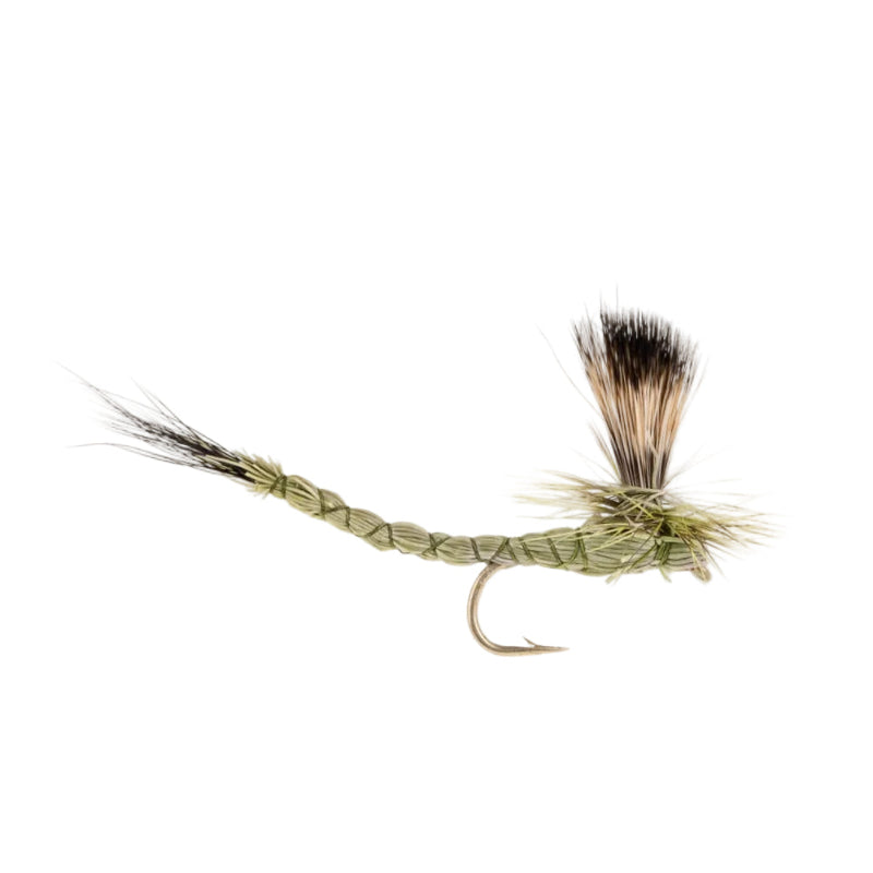 MAYFLY GREEN PARA DRAKE MAYFLY