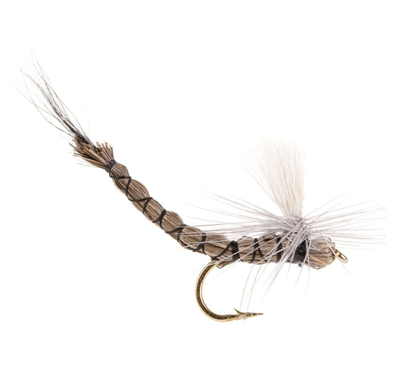 MAYFLY GREY PARA DRAKE MAYFLY