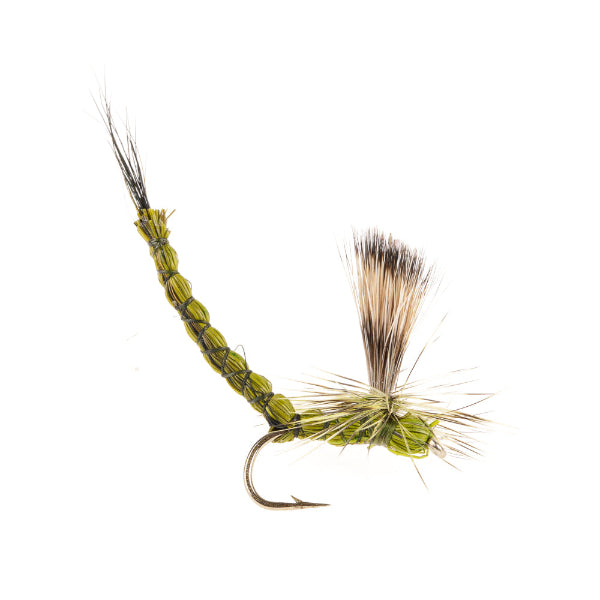 MAYFLY OLIVE PARA DRAKE