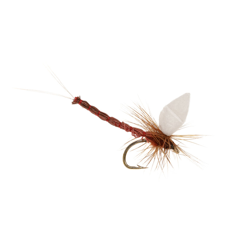 MAYFLY REALISTIC ETHAFOAM WING MAYFLY BROWN DRAKE