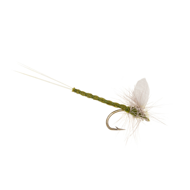 MAYFLY REALISTIC ETHAFOAM WING MAYFLY BWO DRAKE
