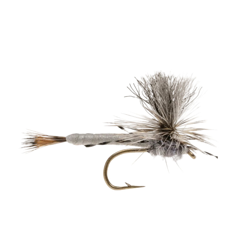 MAYFLY SEGMENTED GREY DRAKE MAYFLY