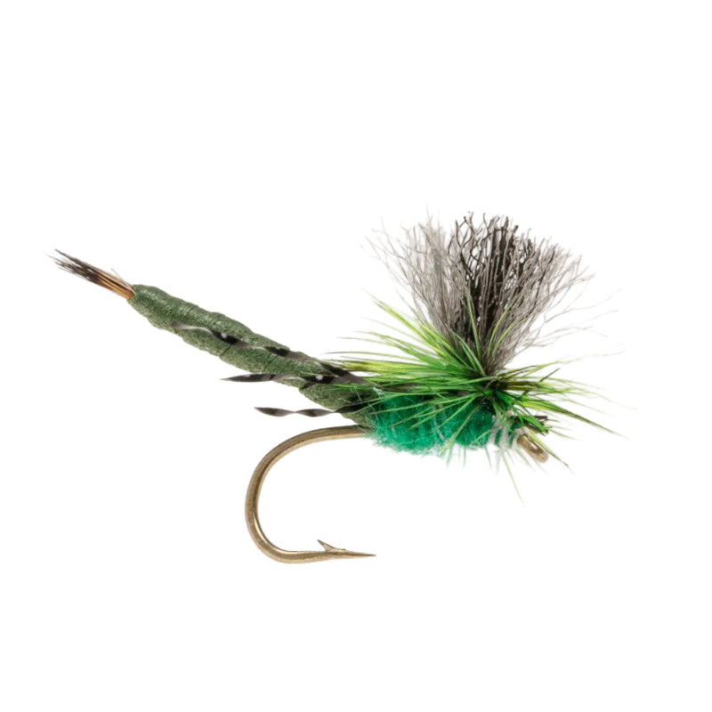 MAYFLY SEGMENTED GREEN DRAKE MAYFLY