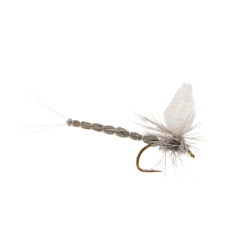 MAYFLY REALISTIC ETHAFOAM WING MAYFLY BLUE DUN