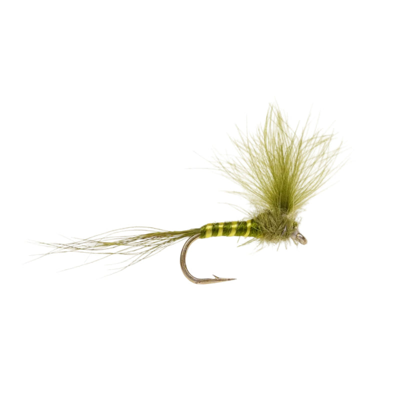 MAYFLY CDC PARACHUTE GREEN DRAKE MAYFLY
