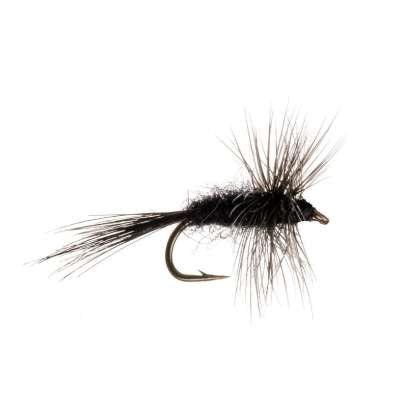 MIDGE FLY BLACK