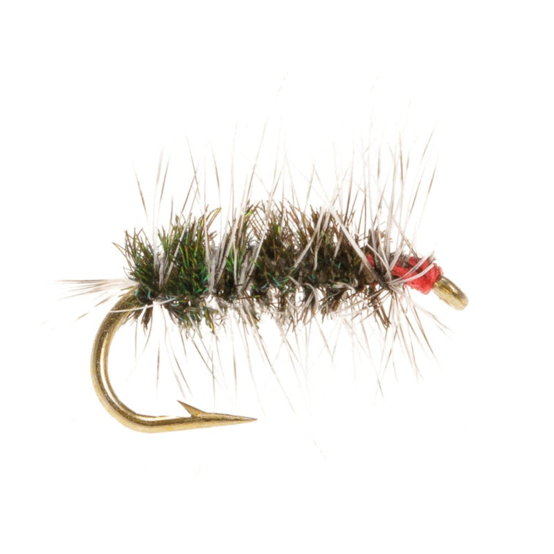 MIDGE FLY GRIFFITHS GNAT