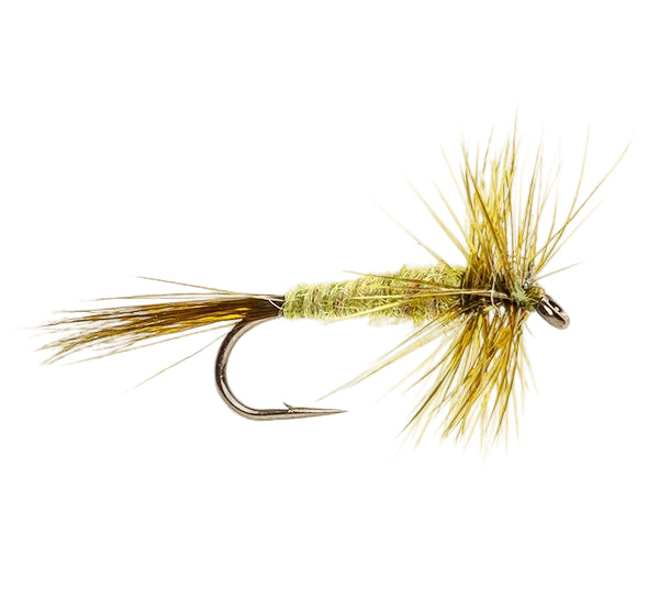 MIDGE FLY OLIVE