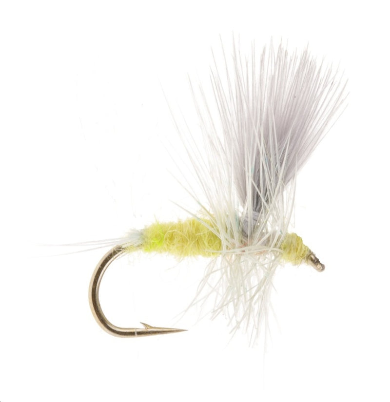 MIDGE FLY PALE MORNING DUN MIDGE