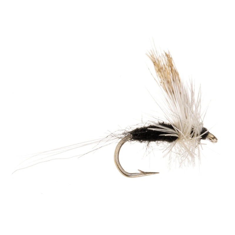 MIDGE FLY THORAX TRICO MIDGE