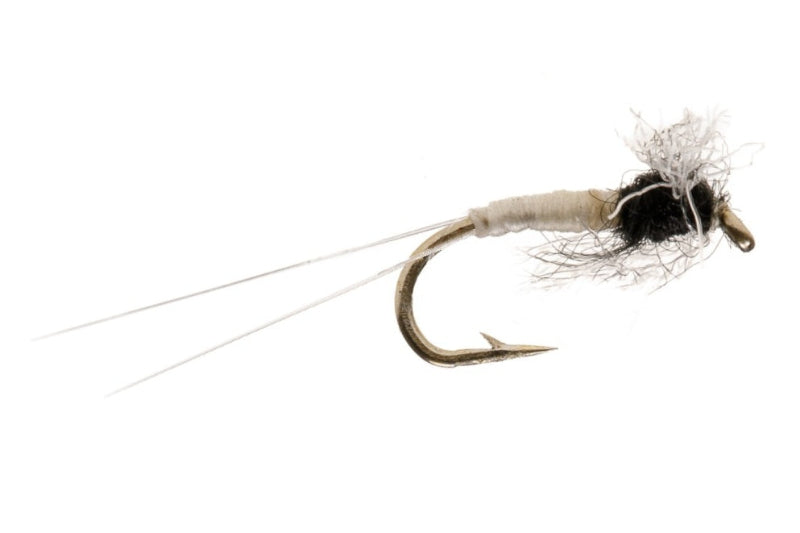 MIDGE FLY SPENT CAENIS