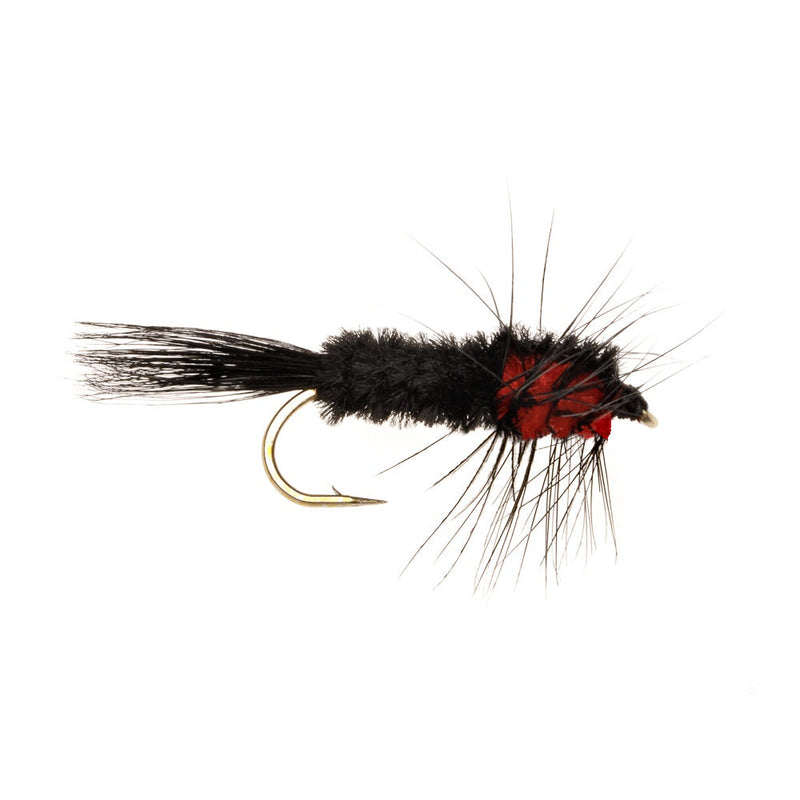 MONTANA FLY WEIGHTED MONTANA RED