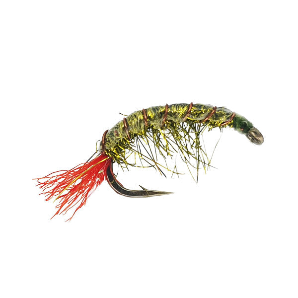 MULLETT FLY MULLET SHRIMP OLIVE